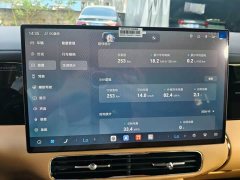 Denza D9 Second Generation DM-i AWD Flash Charging Luxury - фото 12