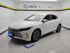 BYD Destroyer 05 Champion Edition DM-i 55KM Luxury - ფოტო 1