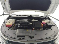 BYD Destroyer 05 Champion Edition DM-i 55KM Luxury - ფოტო 10