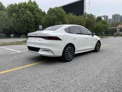 BYD Qin PLUS EV 500KM Luxury - ფოტო 8