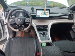 BYD Song Pro New Energy DM-i 71KM Glory Edition Pilot - ფოტო 5