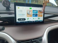 BYD Song Pro New Energy DM-i 71KM Glory Edition Pilot - ფოტო 9
