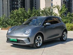 ORA Good Cat 430km Deluxe Edition - ფოტო 1