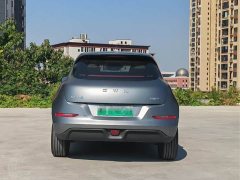 ORA Good Cat 430km Deluxe Edition - ფოტო 8