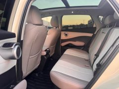 BYD Yuan Plus Smart Driving Edition 510KM Excellence - photo 4