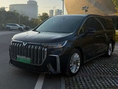 Voyah Dream PHEV Extended Range Luxury Edition - ფოტო 1