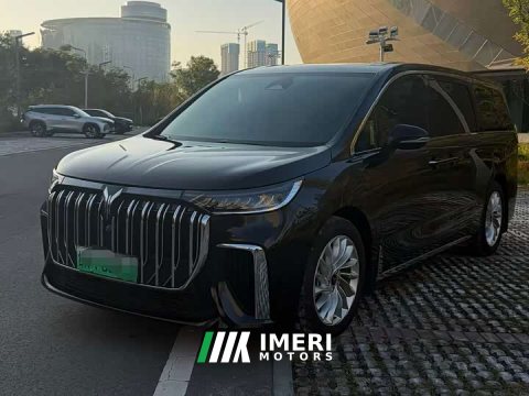 2024 Voyah Dream PHEV Extended Range Luxury Edition - car from China