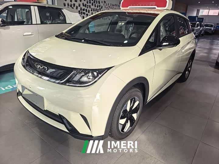 BYD Dolphin Smart Drive 420km Freedom Edition