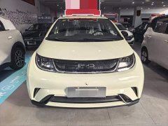 BYD Dolphin Smart Drive 420km Freedom Edition - фото 2