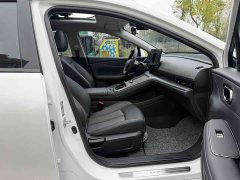 AION S Plus 80 Executive Edition Ternary Lithium - ფოტო 12