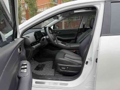 AION S Plus 80 Executive Edition Ternary Lithium - ფოტო 8
