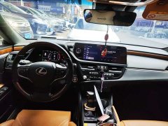 Lexus ES 300h Executive Edition - ფოტო 8