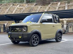 Geely Panda 200km Panda Knight - ფოტო 1