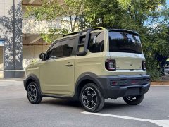 Geely Panda 200km Panda Knight - ფოტო 5