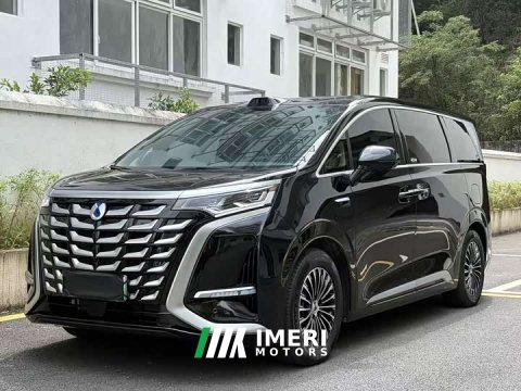 2026 Denza D9 DM-i AWD Premium Navigation Edition - car from China