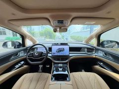 Denza D9 DM-i AWD Premium Navigation Edition - ფოტო 13