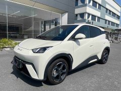 BYD Seagull Freedom Edition - ფოტო 1