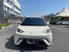 BYD Seagull Freedom Edition - ფოტო 2
