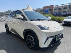 BYD Seagull Freedom Edition - ფოტო 3
