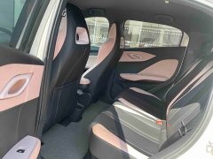 BYD Seagull Freedom Edition - ფოტო 5