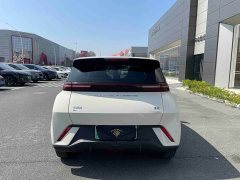 BYD Seagull Freedom Edition - ფოტო 8