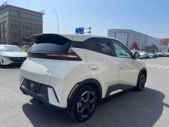 BYD Seagull Freedom Edition - ფოტო 9