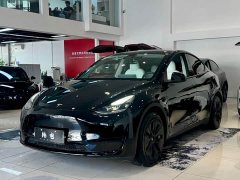 Tesla Model Y Rear-Wheel Drive - фото 1