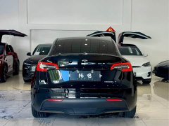 Tesla Model Y Rear-Wheel Drive - фото 14