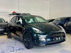 Tesla Model Y Rear-Wheel Drive - фото 3
