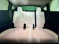 Tesla Model Y Rear-Wheel Drive - фото 9