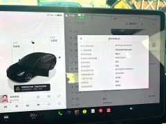 Tesla Model 3 Performance All-Wheel Drive - ფოტო 6