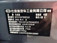 BYD L EV 602km AWDSmart Drive Version - фото 7