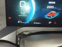 Tank 300 City Edition 2.0T Stylish - ფოტო 13