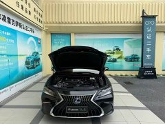 Lexus ES 300h Premium Edition - фото 8