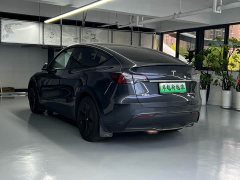 Tesla Model Y Rear-Wheel Drive - photo 10
