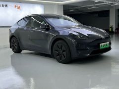 Tesla Model Y Rear-Wheel Drive - photo 3