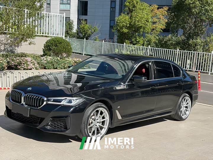 BMW 5 Series 530Li Premier M Sport Package - ავტომობილი ჩინეთიდან