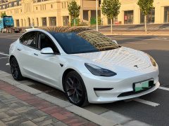 Tesla Model 3 Rear-Wheel Drive - ფოტო 3