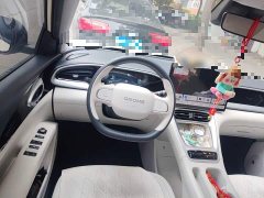 Geely Star Wish 310km Dream Edition - ფოტო 11