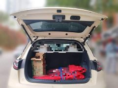 Geely Star Wish 310km Dream Edition - ფოტო 20