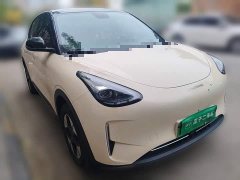 Geely Star Wish 310km Dream Edition - ფოტო 3