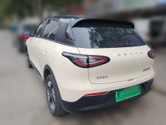 Geely Star Wish 310km Dream Edition - ფოტო 4