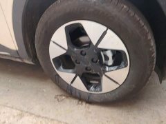 Geely Star Wish 310km Dream Edition - ფოტო 8