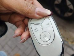 Geely Star Wish 310km Dream Edition - ფოტო 9