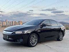 BYD Qin PLUS Glory Edition EV 510KM Leading - ფოტო 1