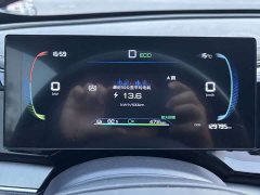 BYD Qin PLUS Glory Edition EV 510KM Leading - ფოტო 11