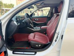 BMW 3 Series 320Li M Sport Package - ფოტო 5