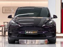Tesla Model Y Long Range All-Wheel Drive - фото 2