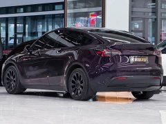 Tesla Model Y Long Range All-Wheel Drive - фото 4