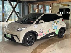 BYD Seagull 305km Freedom Edition - ფოტო 1